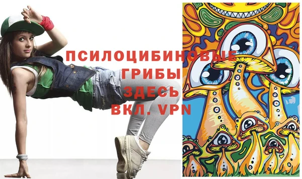 шишки Армянск