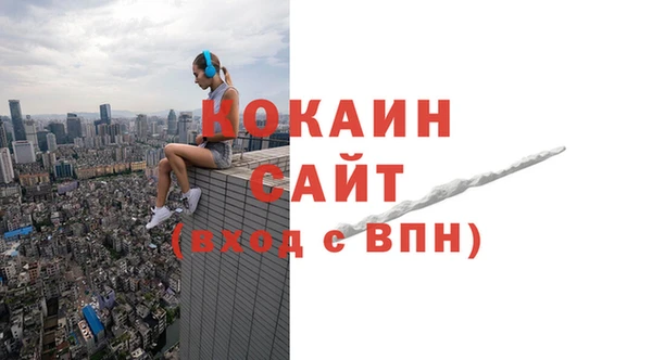 гидра Арсеньев
