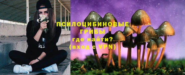 гидра Арсеньев