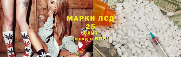 apvp Аркадак