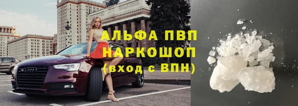 гидра Арсеньев