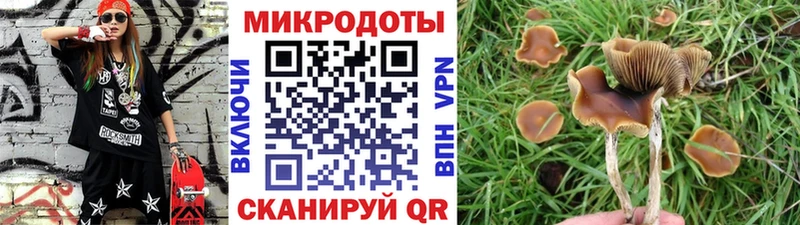 Купить  Плавск  Галлюциногенные грибы MAGIC MUSHROOMS 